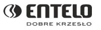 Entelo Szkoła