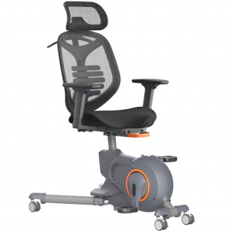 Fotel gimnastyczny z ergonomicznym siedziskiem Fitness Chair F216DBU