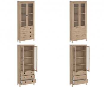 Dwudrzwiowa witryna z szufladami Madrid, jackson hickory