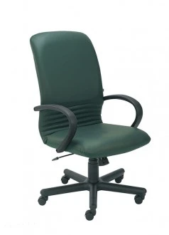 Fotel gabinetowy Mirage TS06