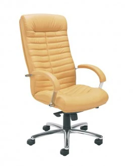 Fotel gabinetowy Orion