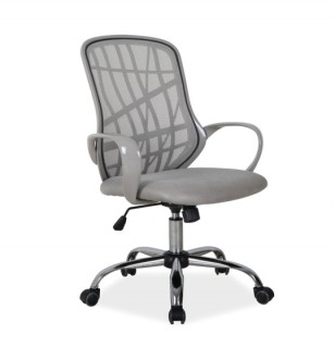 Obrotowe krzesło biurowe Dexter szary