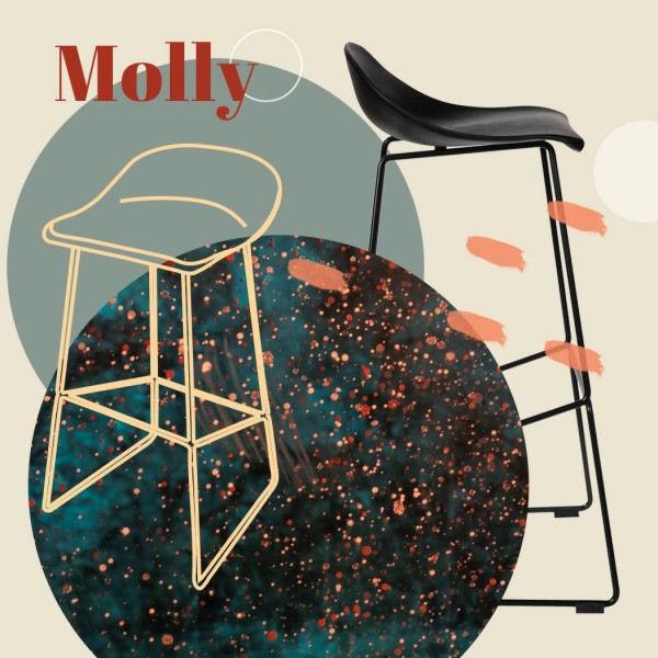 Hoker barowy na płozach Molly High