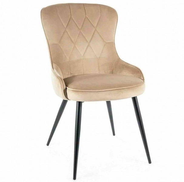 Pikowane krzesło z niskimi podłokietnikami Lotus Velvet