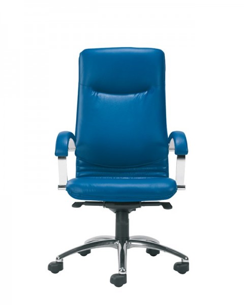 Fotel gabinetowy Nova Steel