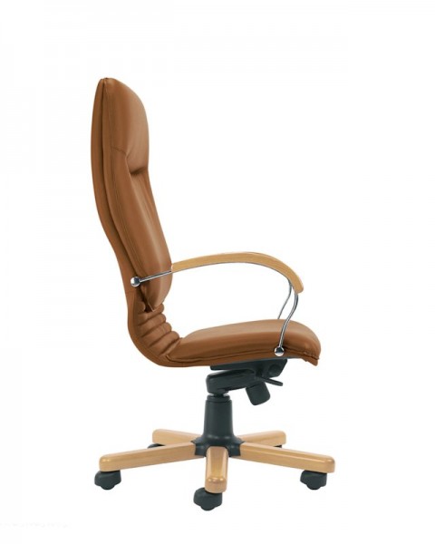 Fotel gabinetowy Nova Wood